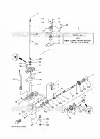 LOWER CASING & DRIVE 1 for Yamaha F9.9 2013