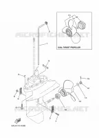 LOWER CASING & DRIVE 2 for Yamaha F9.9 2013