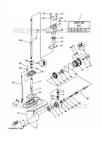 LOWER CASING & DRIVE 1 for Yamaha FT8 2001