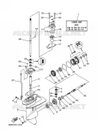 LOWER CASING & DRIVE 1 for Yamaha FT9.9 2001