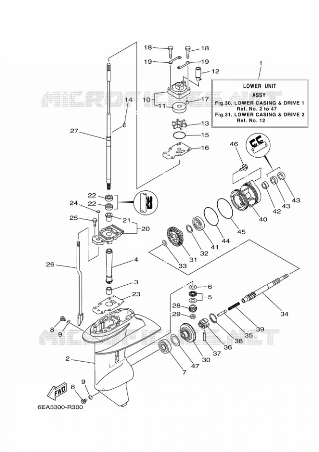 LOWER CASING & DRIVE 1 Yamaha OUTBOARD ENGINES 9.9hp (7.3kW) 2018 FT9.9  FT9.9LEL