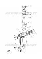 UPPER CASING for Yamaha 20 2006