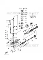 LOWER CASING & DRIVE 1 for Yamaha 30 1999