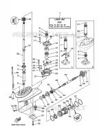 LOWER CASING & DRIVE 1 for Yamaha 30 2010