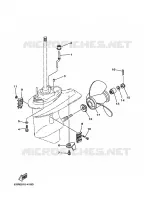 LOWER CASING & DRIVE 2 for Yamaha 30 2010