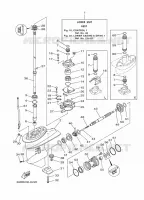 LOWER CASING & DRIVE 1 for Yamaha 30 2012