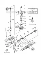 LOWER CASING & DRIVE 1 for Yamaha F20 2006