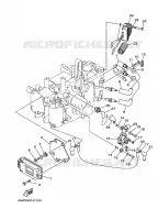 ELECTRICAL 1 for Yamaha F20 2006