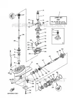 LOWER CASING & DRIVE 1 for Yamaha F20 2005