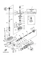 LOWER CASING & DRIVE 1 for Yamaha F20 2003