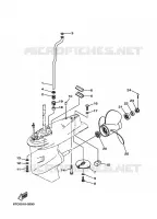 LOWER CASING & DRIVE 2 for Yamaha F30 2009