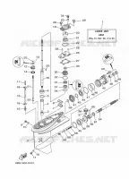 LOWER CASING & DRIVE 1 for Yamaha F30 2012