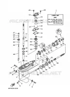 LOWER CASING & DRIVE 1 for Yamaha E40 2011