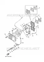 INTAKE for Yamaha 40 2009