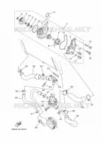 WATERPUMP / HOSES for Yamaha TRACER 2019