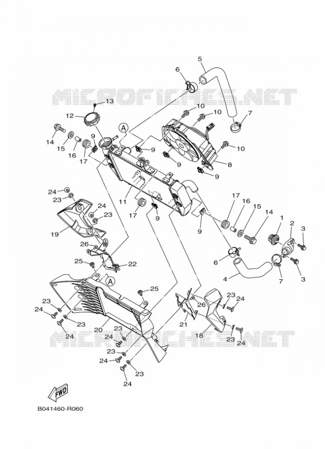 RADIATOR / HOSES Yamaha MOTO 300 2019 MT  MTN320-A