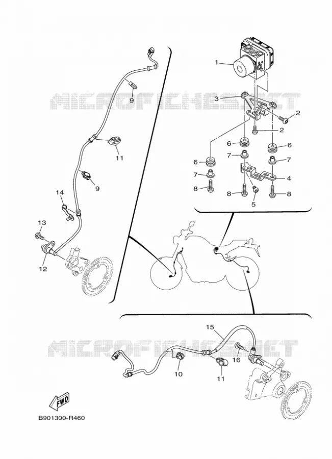 ELECTRICAL 3 Yamaha MOTO 900 2019 XSR  MTM850