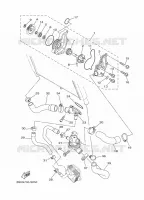 WATERPUMP / HOSES for Yamaha XSR 2019