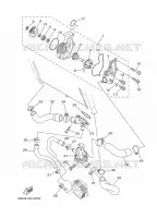 WATERPUMP / HOSES for Yamaha TRACER 2020