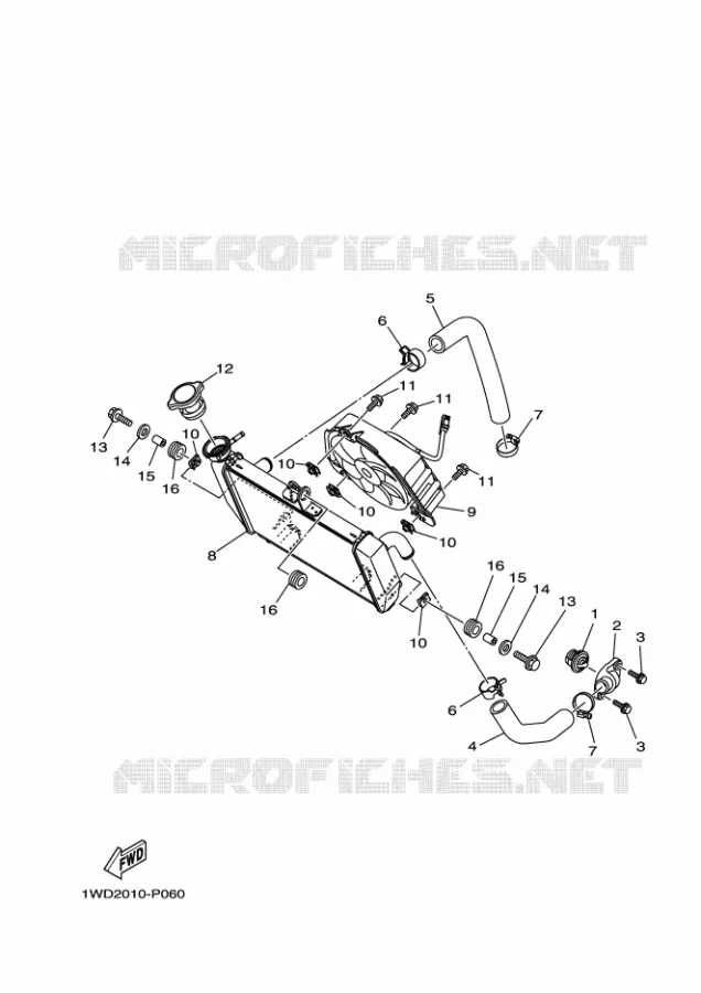 RADIATOR / HOSES Yamaha MOTO 250 2020 R25  YZF250-A