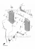 RADIATOR / HOSES for Yamaha YZF 2020