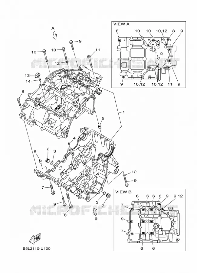CRANKCASE Yamaha MOTO 300 2020 R3  YZF320-A