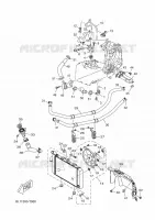 RADIATOR / HOSES for Yamaha XMAX 2020