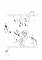 RADIATOR / HOSES for Yamaha XMAX 2020
