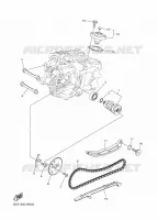 CAMSHAFT / TIMING CHAIN for Yamaha D'ELIGHT 2021