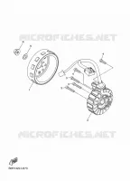 IGNITION for Yamaha D'ELIGHT 2021