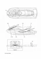 STICKER for Yamaha FX 2021
