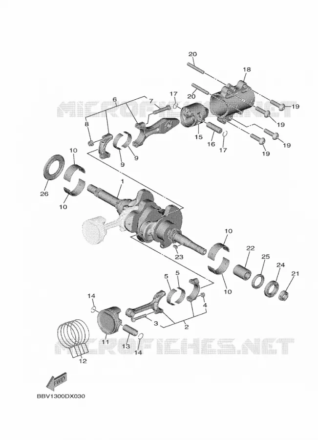 CRANKSHAFT / PISTON Yamaha SCOOTER 560 2023 TMAX  XP560D