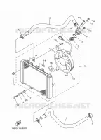 RADIATOR / HOSES for Yamaha GRIZZLY 2023