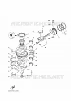 CRANKSHAFT / PISTON for Yamaha F175 2020