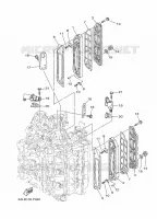 CYLINDER AND CRANKCASE 3 for Yamaha F225 2021
