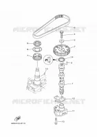 OIL PUMP for Yamaha F40 2021
