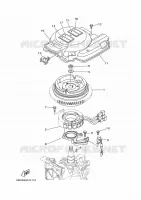 IGNITION for Yamaha FT25 2021