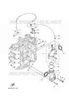 EXHAUST for Yamaha F115 2021