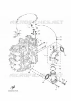 EXHAUST for Yamaha F115 2021
