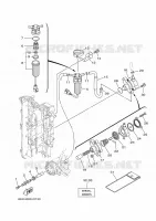 FUEL SUPPLY 1 for Yamaha F115 2021