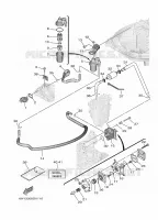 FUEL SUPPLY 1 for Yamaha F20 2021