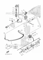 FUEL SUPPLY 1 for Yamaha F20 2021