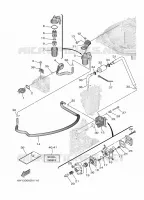 FUEL SUPPLY 1 for Yamaha F20 2021