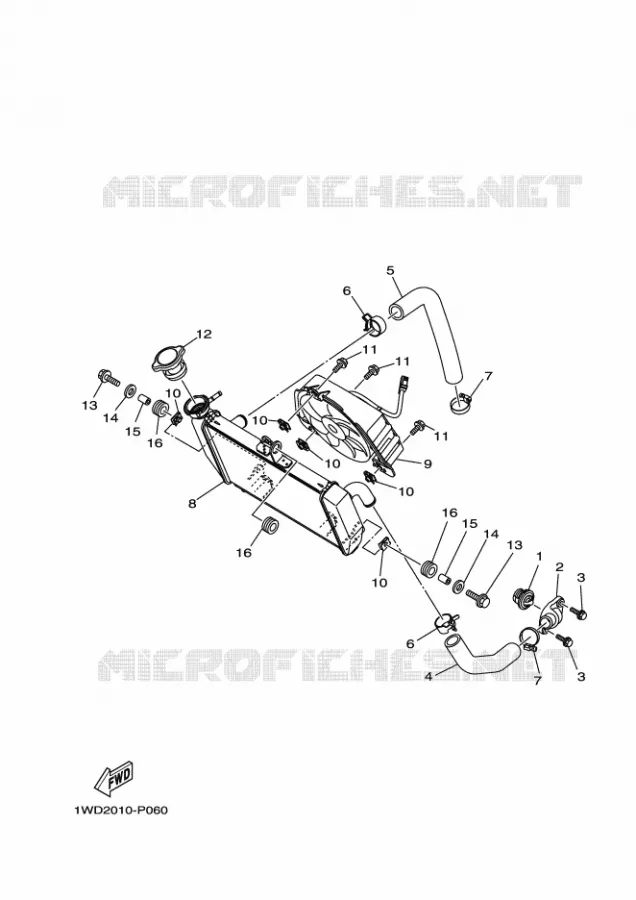RADIATOR / HOSES Yamaha MOTO 300 2024 R3  YZF320-A