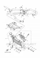 RADIATOR / HOSES for Yamaha R15 2024