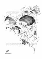 FUEL TANK for Yamaha XSR 2024