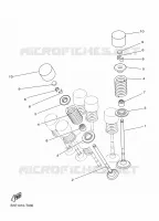 VALVE for Yamaha MT 2024