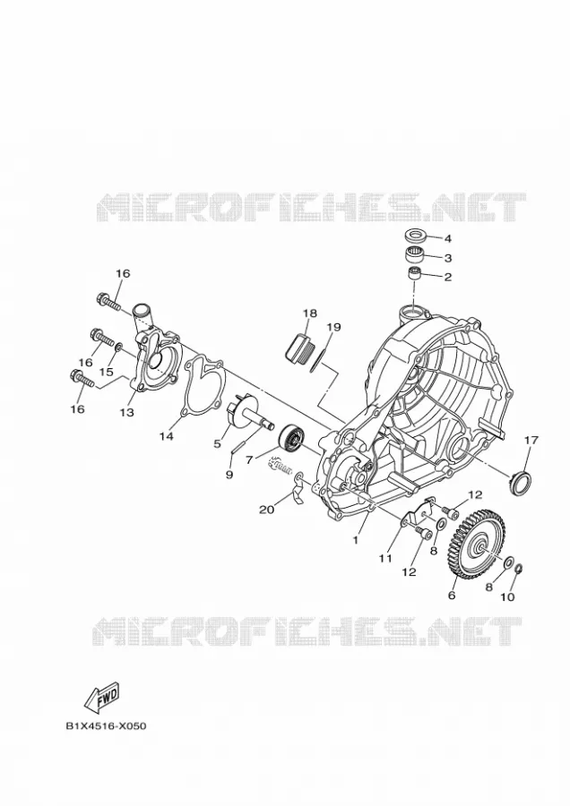 WATERPUMP / HOSES Yamaha MOTO 300 2024 R3  YZF320-A