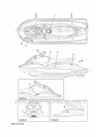 LABEL for Yamaha EX 2024