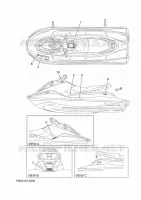 LABEL for Yamaha EX 2024